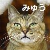 miew