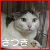 satuki