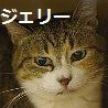 jely