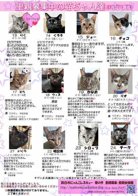 s-itirannsatooya2-2024428ip