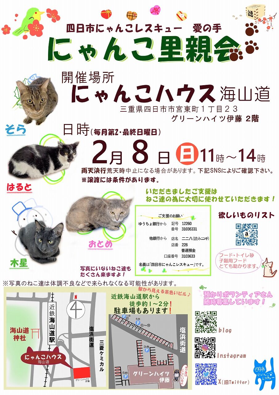 2月8日（日）は里親会です♪ : 四日市にゃんこレスキュー 愛の手 里親