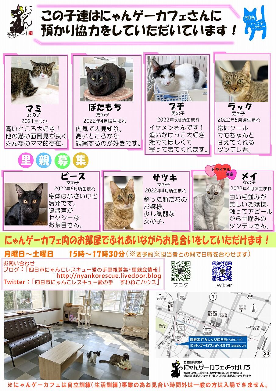 5月20日（土）のにゃんゲーカフェよっかいち「ふれあい♥お