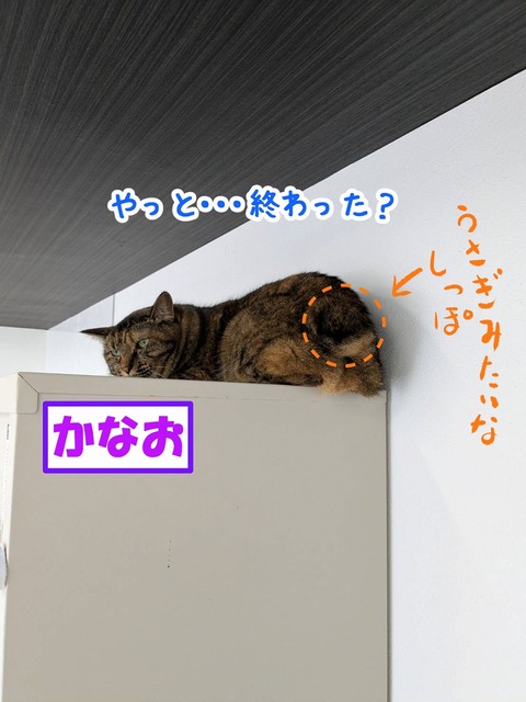 s-kanao