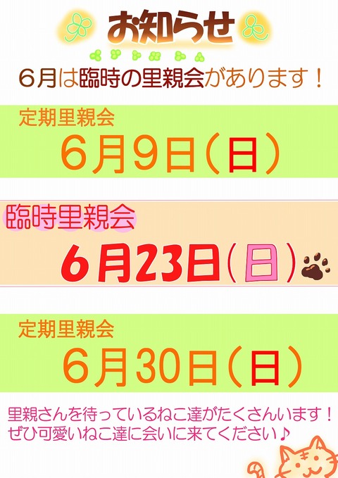 s-rinnzisatooyakai20246