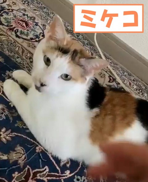 s-mikeko