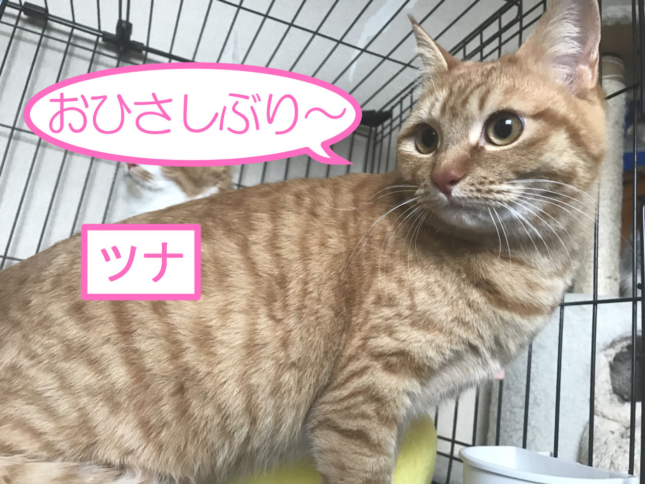 イメージ 1