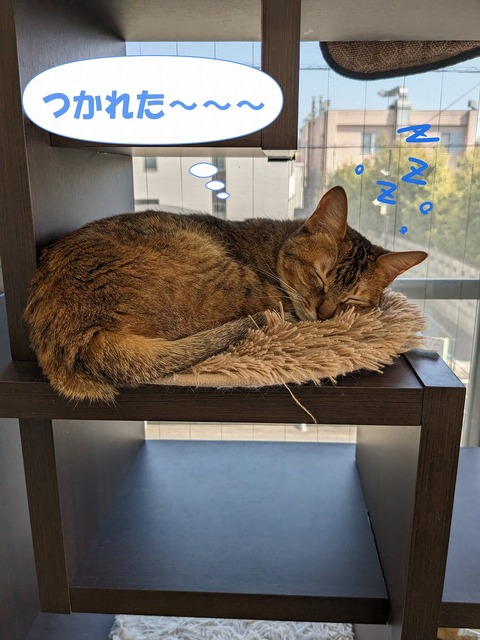 s-zzz