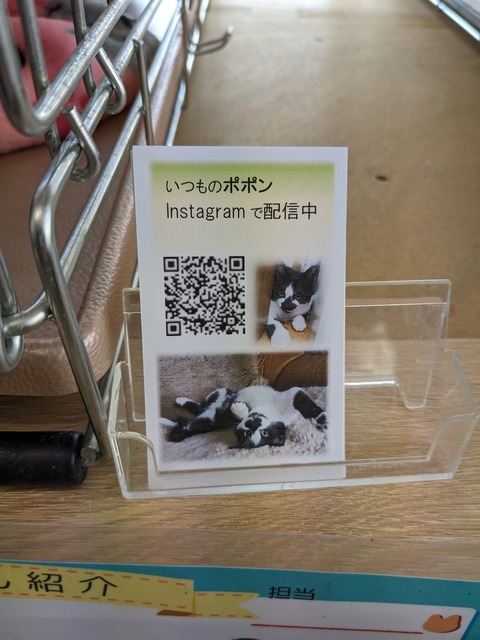 PXL_20240331_021330384