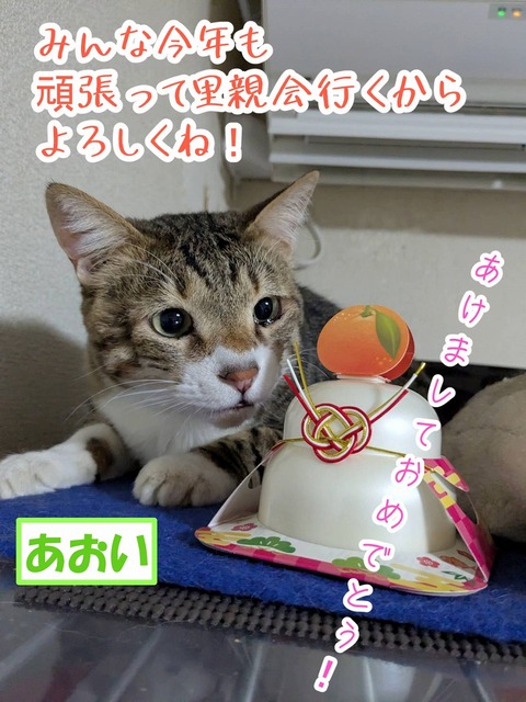 s-aoi
