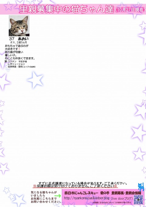 s-itirannsaooya2-20241027[ ()bosyuuyouclip