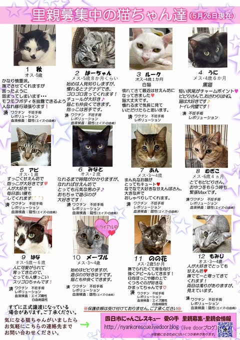 s-itirannsaooya2-3.2024526lip