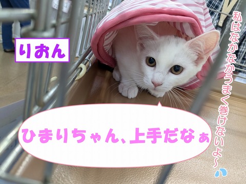 s-rion