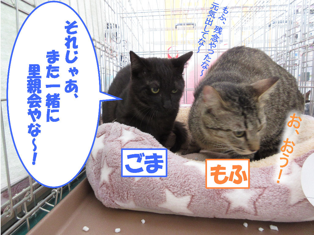 イメージ 2