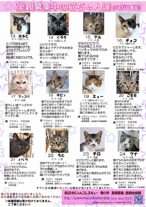 s-itirannsatooya2-2025914ip