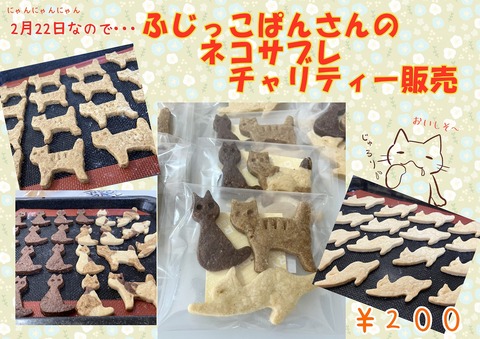 s-hujiccosanneko