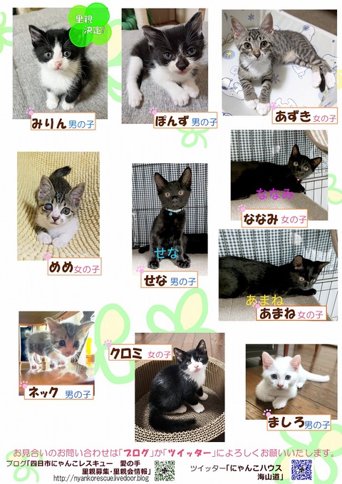 s-koneko