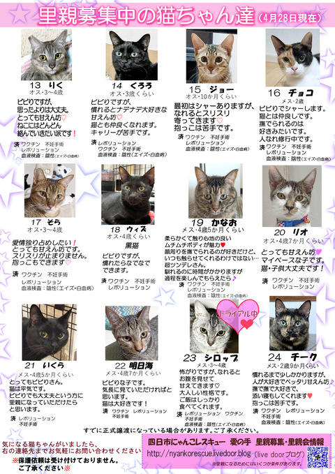 itirannsatooya2-2024428ip