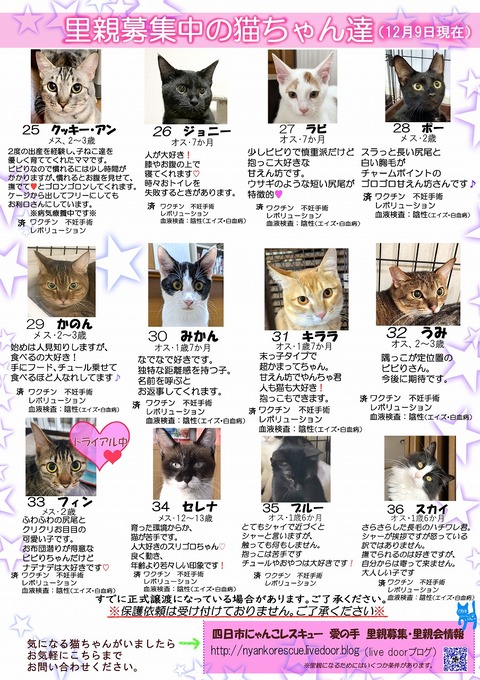s-itirannsaooya2-20231209(2)bosyuuyouclip