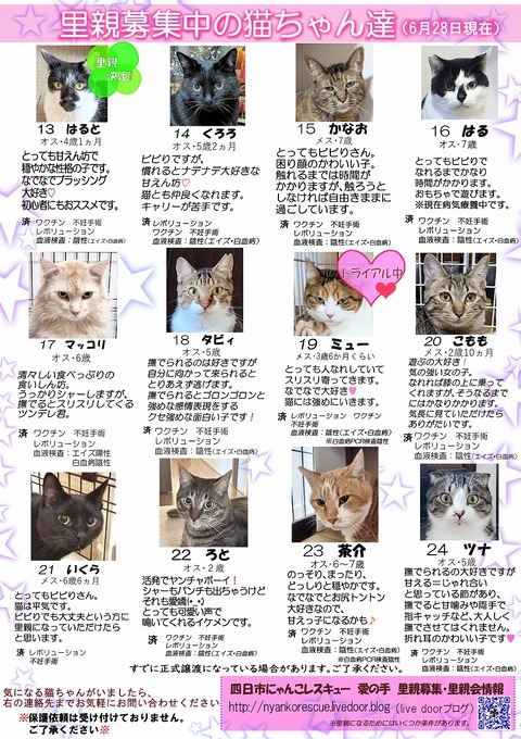 s-itirannsatooya2-2026628ip