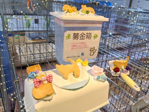 s-sui-tudeko
