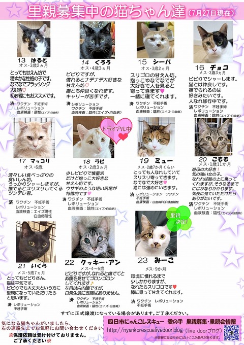 s-itirannsatooya2-2025727ip