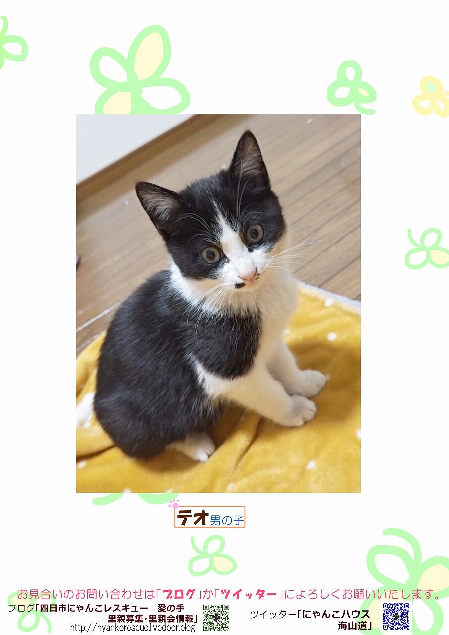 ご寄付をいただきありがとうございます！4月13日（日）は里親