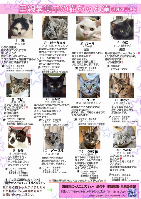 s-itirannsaooya2-3.2024428lip