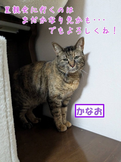 s-kanao