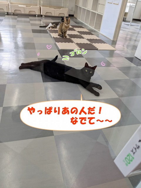 s-buru-2