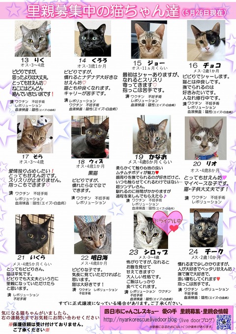 s-itirannsatooya2-2024526ip
