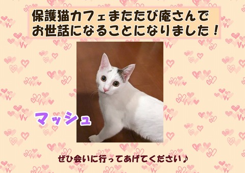 s-イラスト