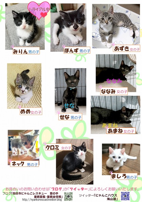 s-koneko