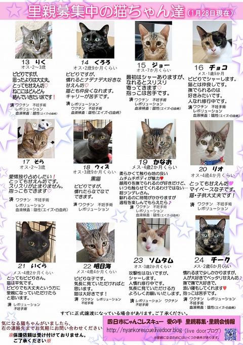 s-itirannsatooya2-2024128ip