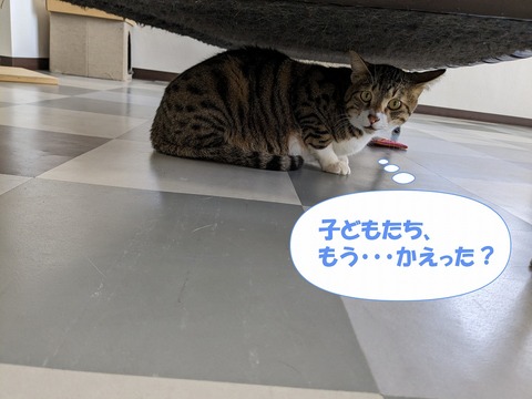 s-aoi