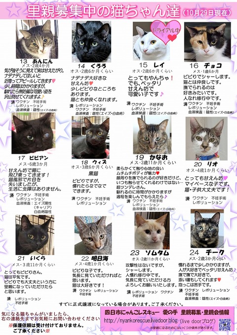 s-itirannsatooya2-20231029ip
