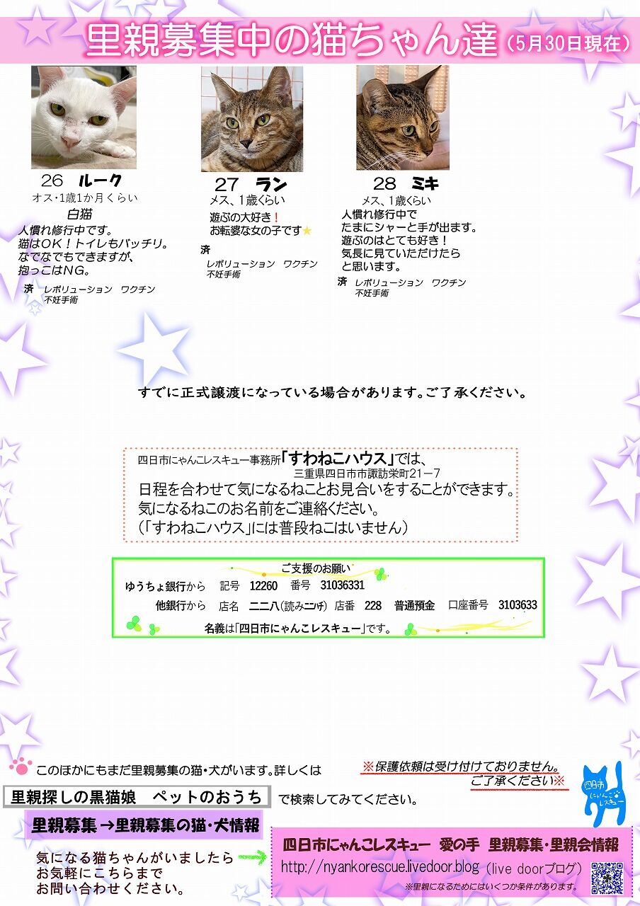 四日市にゃんこレスキュー 愛の手 里親募集 里親会情報 四日市にゃんこレスキュー 愛の手 里親募集 里親会情報