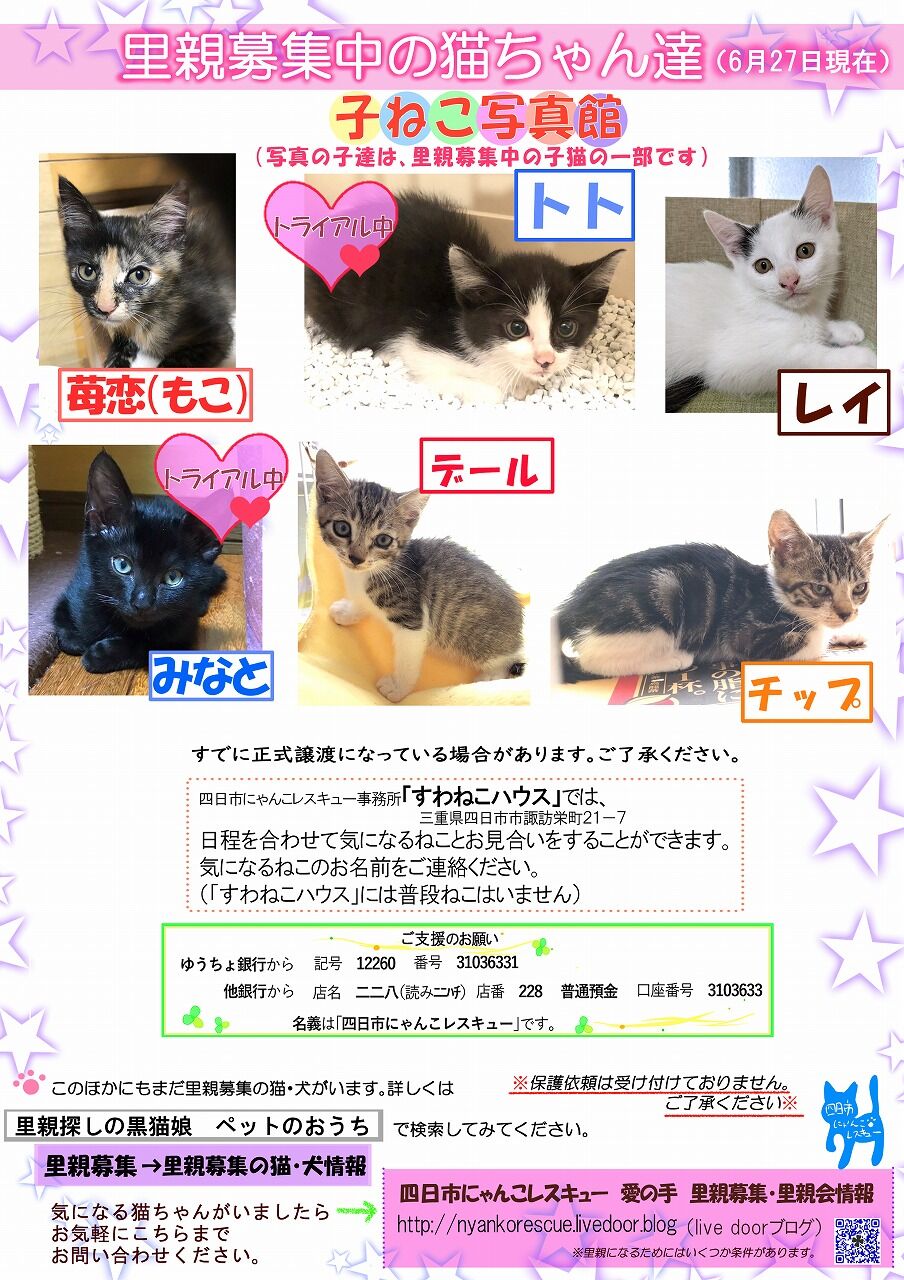猫 四日市にゃんこレスキュー 愛の手 里親募集 里親会情報 猫 四日市にゃんこレスキュー 愛の手 里親募集 里親会情報