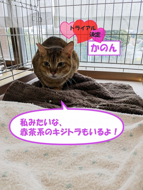 s-kanon