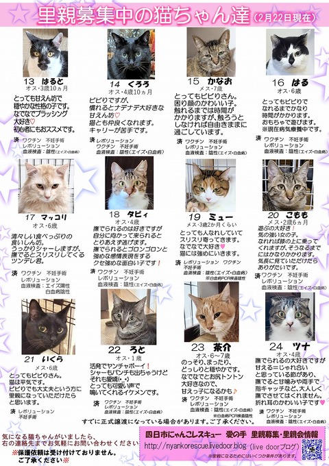 s-itirannsatooya2-2026222ip