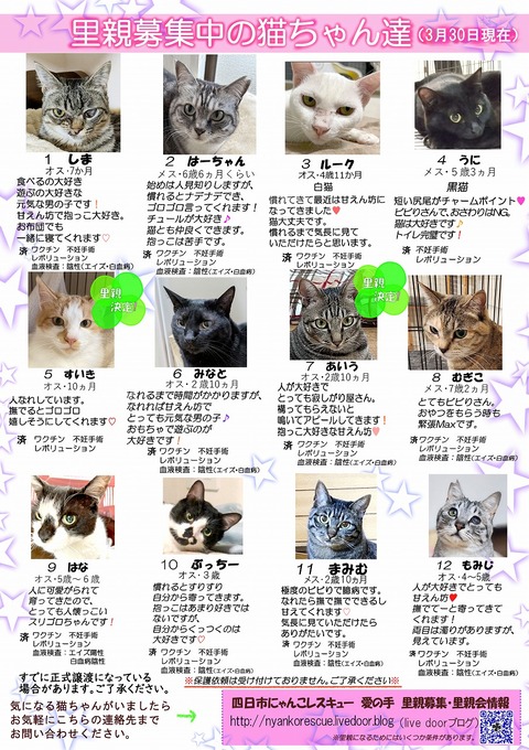 s-itirannsaooya2-3.2025330lip