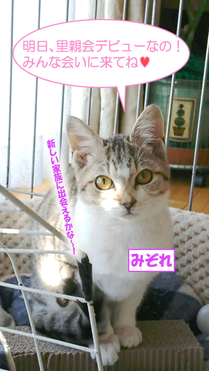イメージ 1