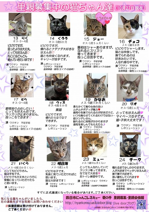 s-itirannsatooya2-20241027ip
