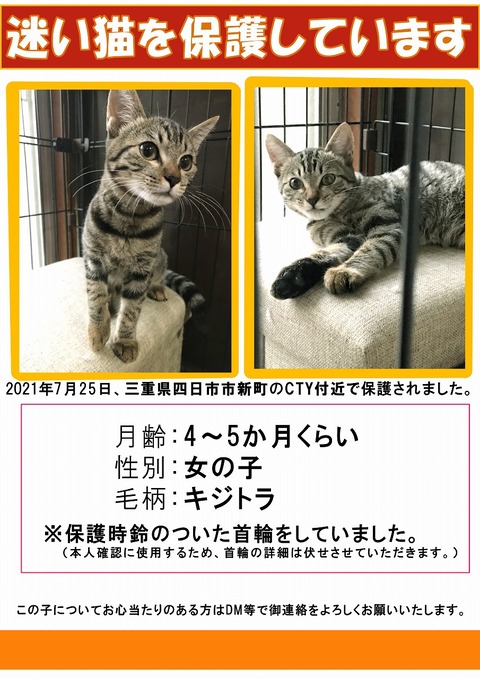 s-mayoineko cty sns