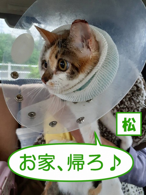 s-matukaeru