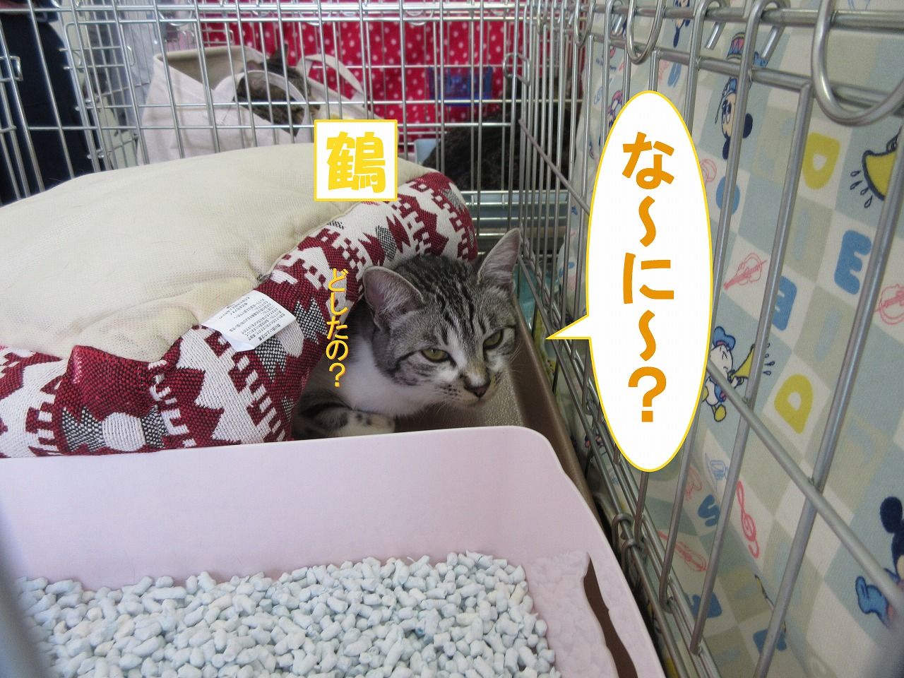 イメージ 3