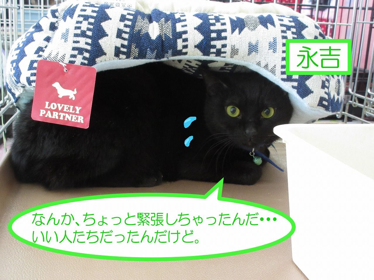 イメージ 1