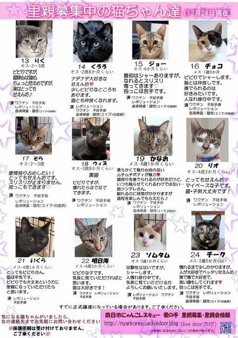 s-itirannsatooya2-20231224ip