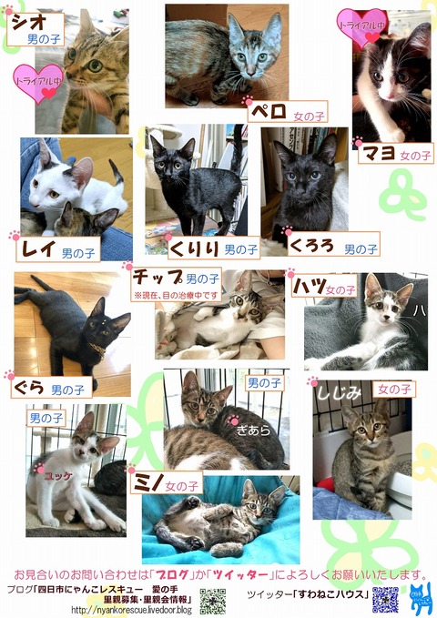 s-koneko3
