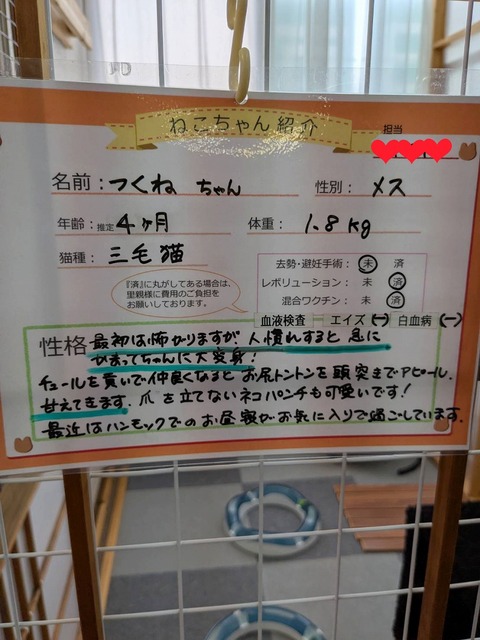 s-199084