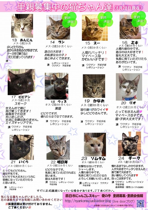 s-itirannsatooya2-2022828ip